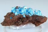 Vibrant Blue Chalcanthite - Planet Mine, Arizona #185979-1